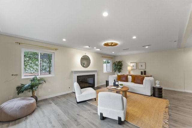 living room with crown molding, light hardwood / wood-style flooring, and plenty of natural light