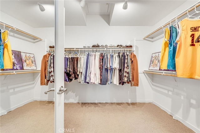 walk in closet featuring carpet