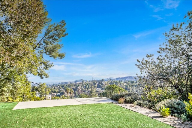 view of yard with a mountain view