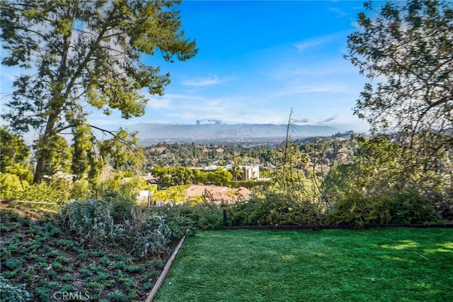 view of yard with a mountain view