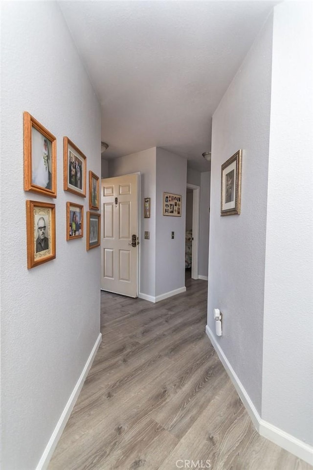 corridor featuring wood-type flooring