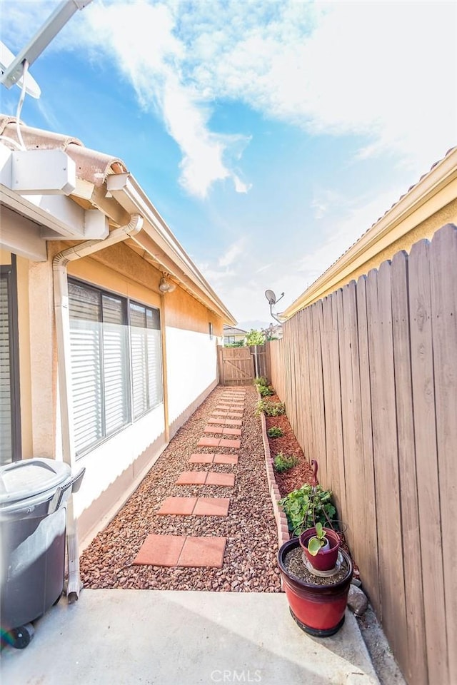 view of yard featuring a patio area