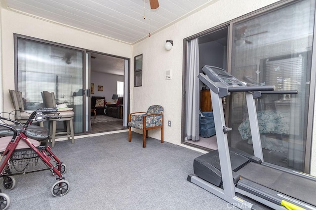 exercise room featuring carpet and ceiling fan