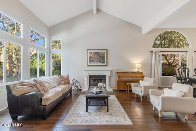 living room featuring dark hardwood / wood-style flooring, high vaulted ceiling, and beamed ceiling