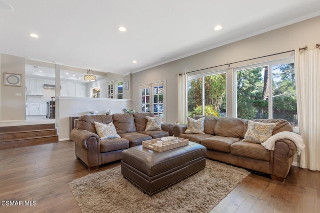 living room featuring wood-type flooring