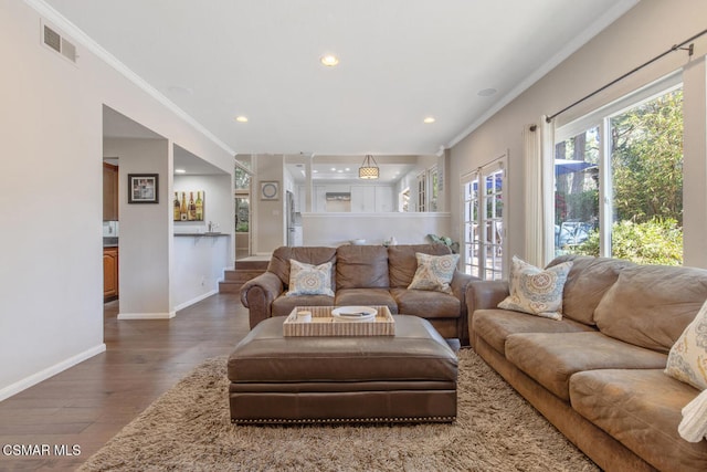 living room featuring crown molding and dark hardwood / wood-style flooring