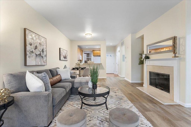 living room with a fireplace and light hardwood / wood-style flooring