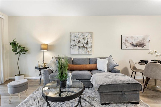 living room featuring hardwood / wood-style floors