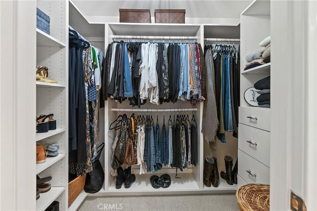 view of spacious closet