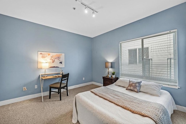 bedroom with rail lighting and carpet