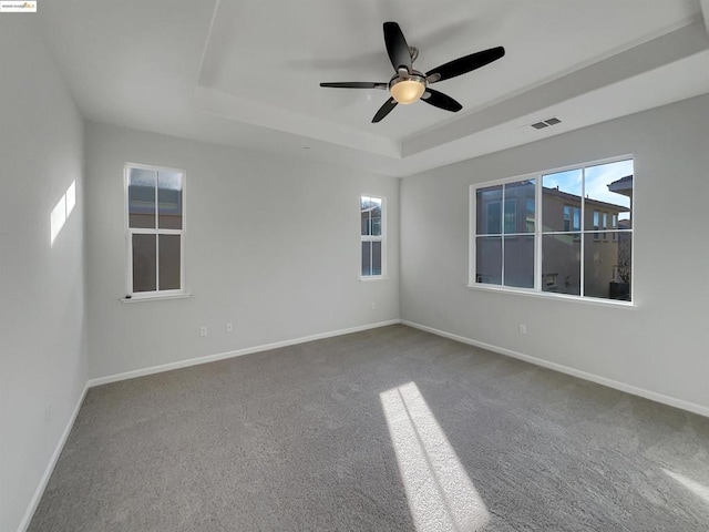 spare room with a healthy amount of sunlight, carpet floors, ceiling fan, and a tray ceiling