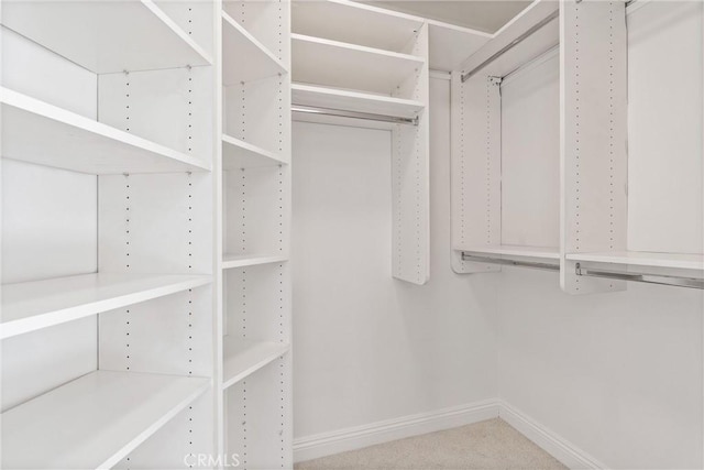 view of spacious closet