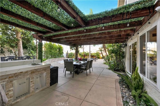 view of patio / terrace with an outdoor kitchen and sink