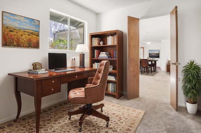 home office with light colored carpet