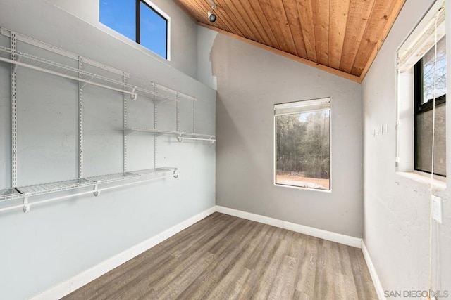 spacious closet with vaulted ceiling and hardwood / wood-style floors