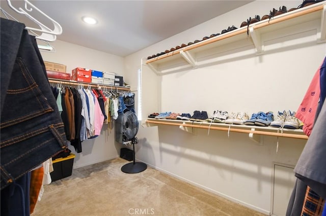 spacious closet featuring carpet flooring