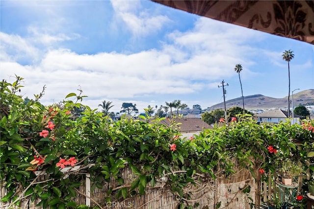 view of yard featuring a mountain view