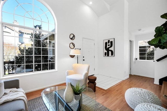 living room with a high ceiling and hardwood / wood-style floors