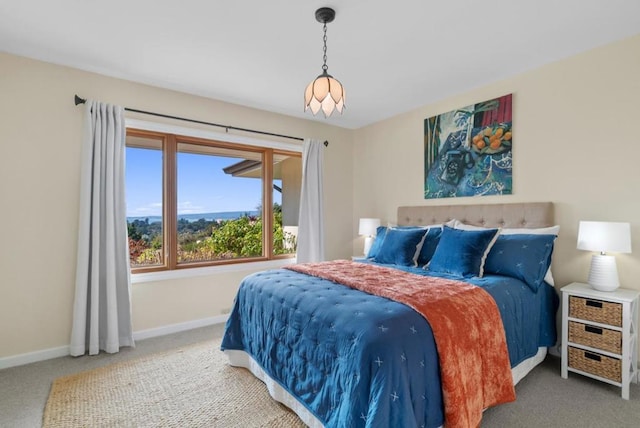 bedroom with carpet floors