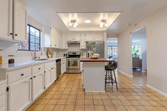 kitchen with a breakfast bar, a raised ceiling, sink, white cabinets, and stainless steel appliances