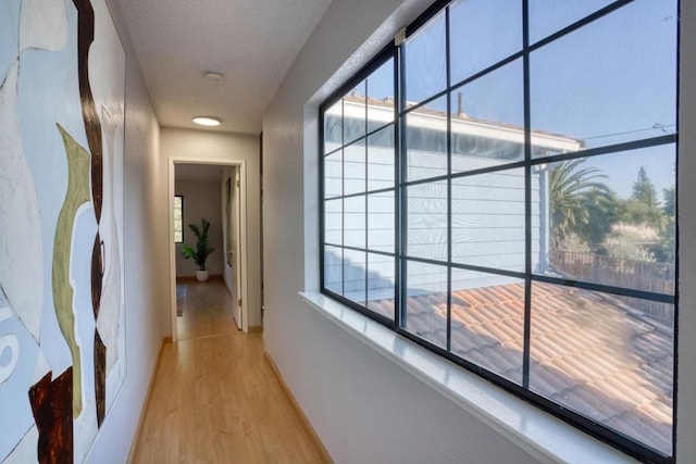 hallway featuring a healthy amount of sunlight, light hardwood / wood-style floors, and a textured ceiling