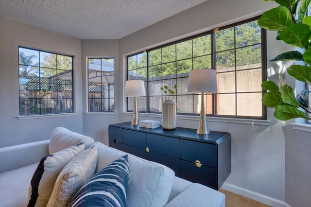 sitting room with wood-type flooring and a textured ceiling