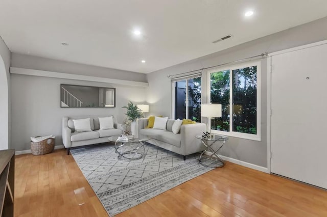 living room featuring hardwood / wood-style floors