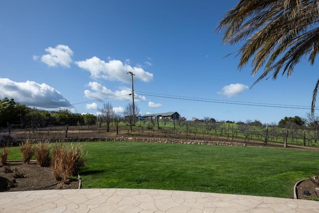 view of yard with a rural view