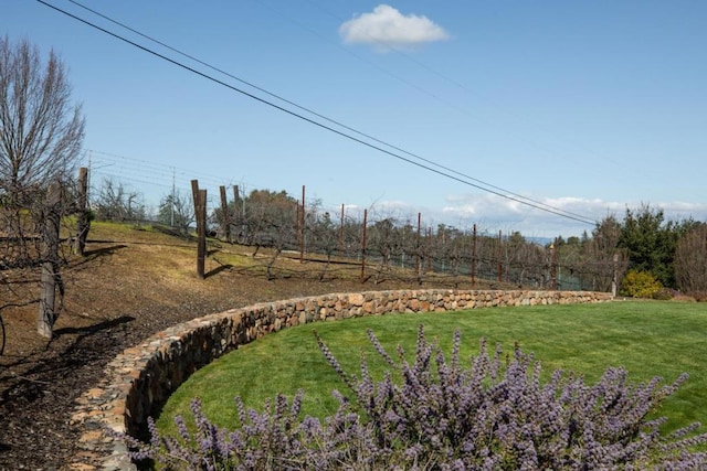 view of yard with a rural view