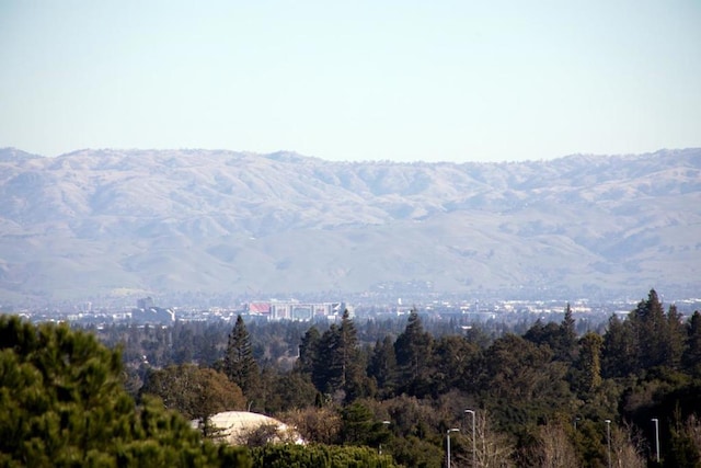 view of mountain feature