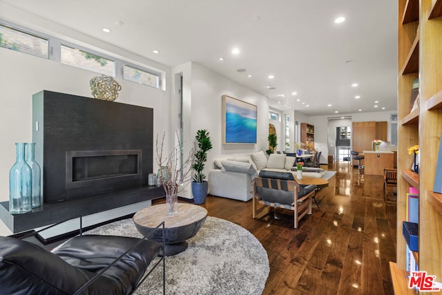 living room featuring dark hardwood / wood-style flooring