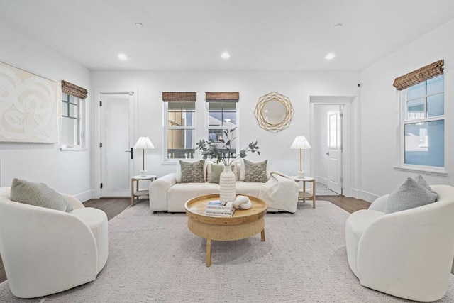 living room featuring hardwood / wood-style flooring and plenty of natural light