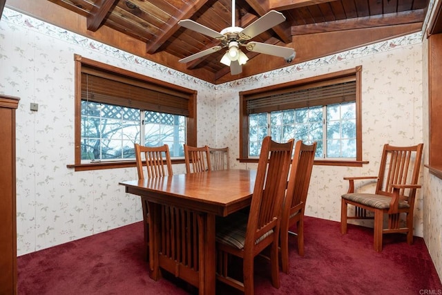 carpeted dining area with a wealth of natural light, wooden ceiling, and ceiling fan