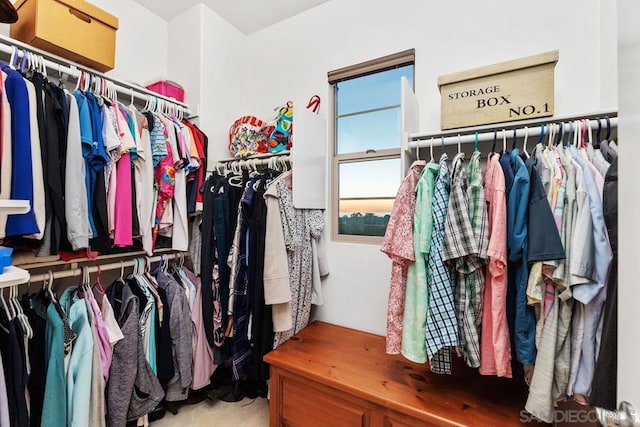 walk in closet with carpet flooring