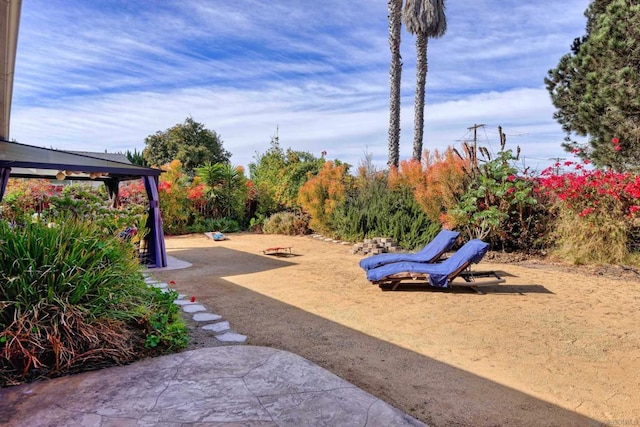 view of yard with a patio area