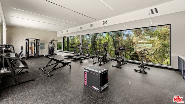 workout area featuring a wall of windows and a wealth of natural light