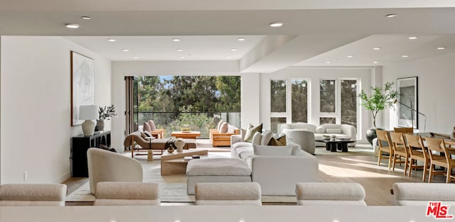 living room featuring light hardwood / wood-style floors