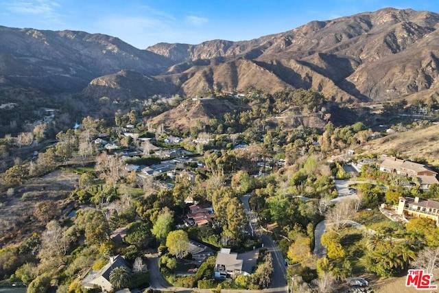 view of mountain feature