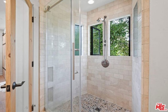 bathroom featuring plenty of natural light and a shower with shower door