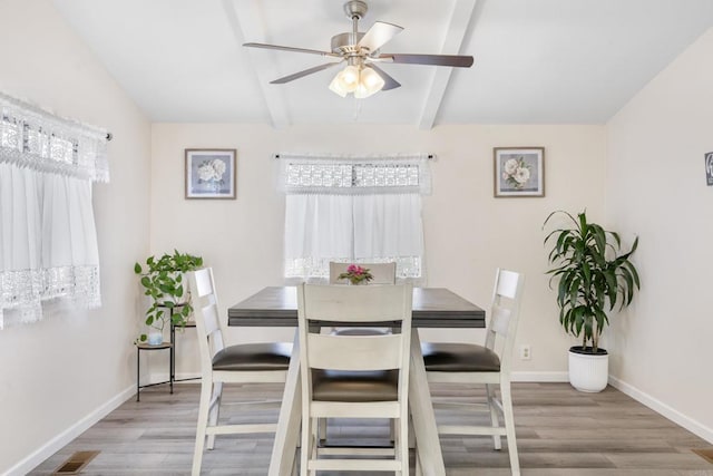 dining space with a wealth of natural light, ceiling fan, and light hardwood / wood-style flooring