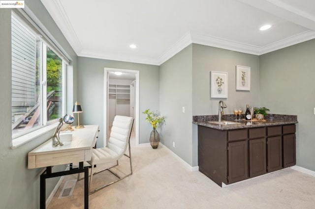 interior space featuring ornamental molding, sink, and light carpet