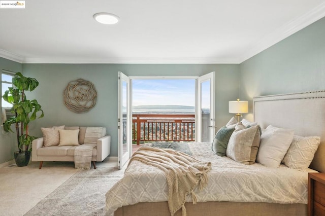 carpeted bedroom with access to exterior and crown molding