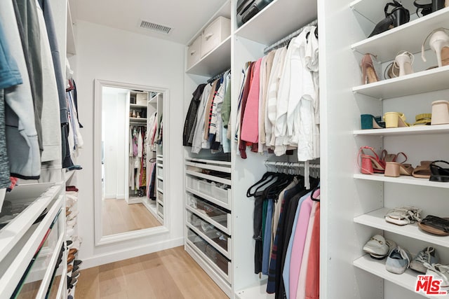 spacious closet with light wood-type flooring