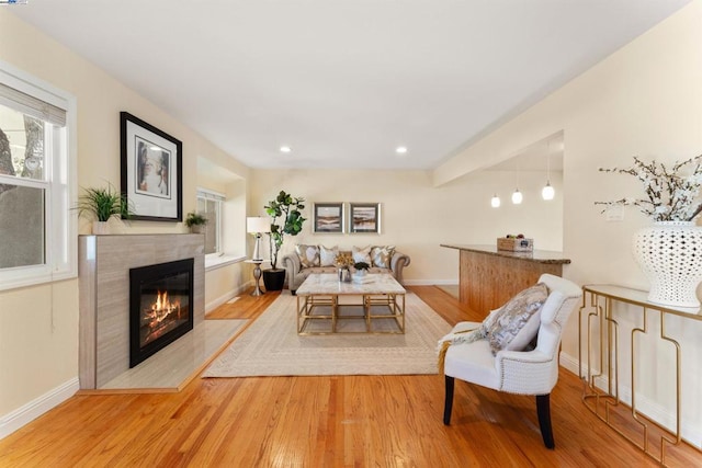 living room featuring a fireplace and light hardwood / wood-style floors