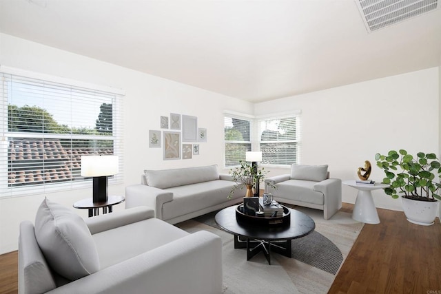 living room featuring hardwood / wood-style flooring and a wealth of natural light