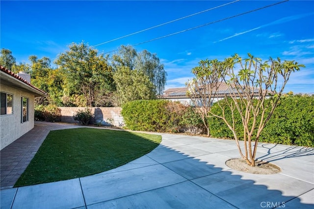 view of yard with a patio