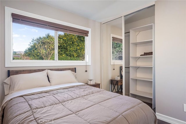 bedroom featuring wood-type flooring and a closet