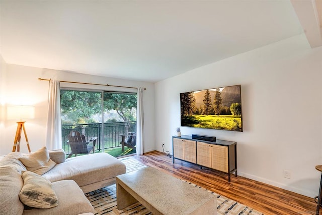 living room with wood-type flooring