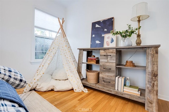 rec room featuring hardwood / wood-style flooring