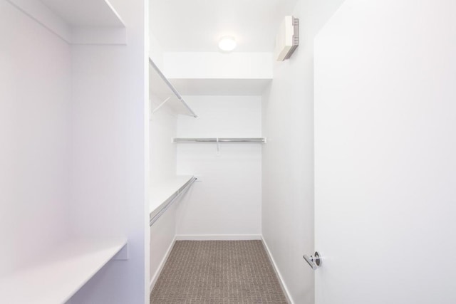 spacious closet featuring carpet